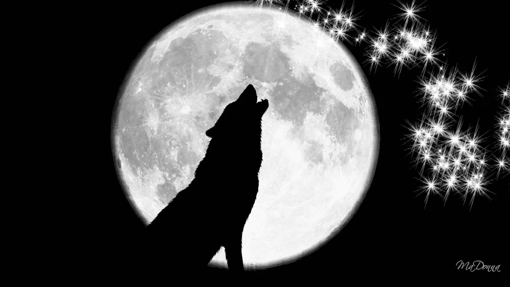 Wolf howls at the moon