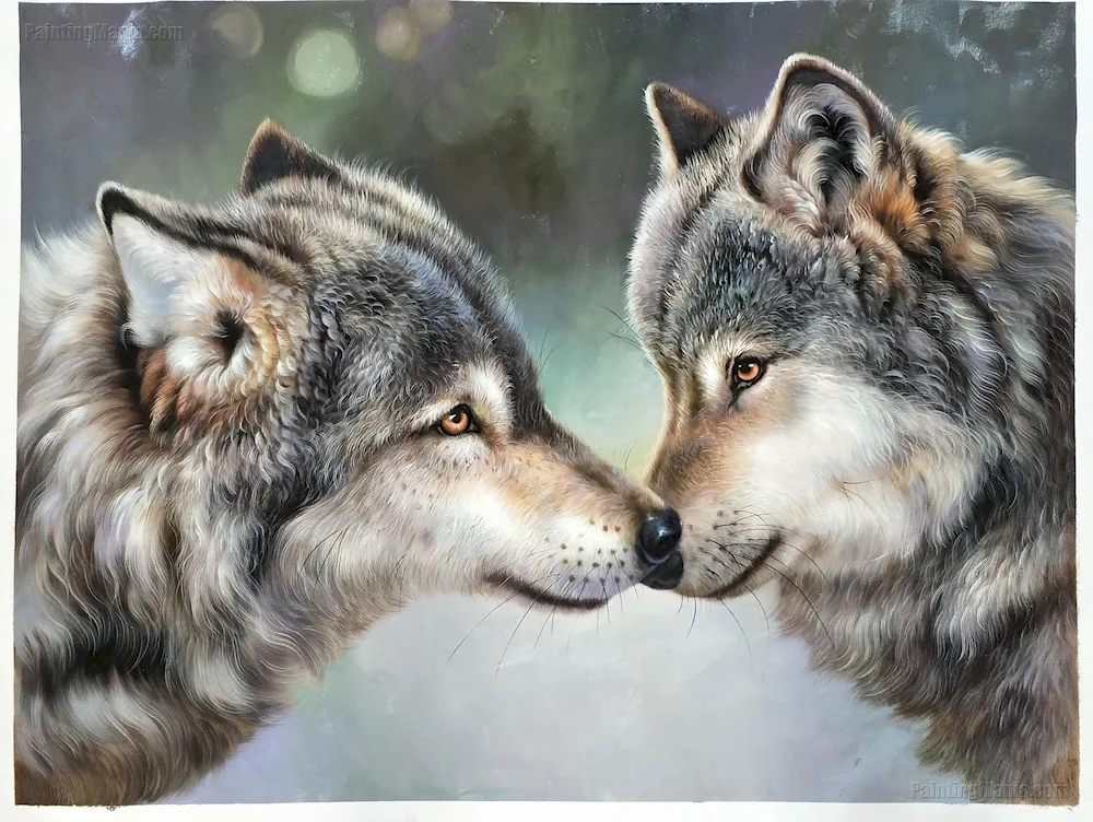 Two wolves