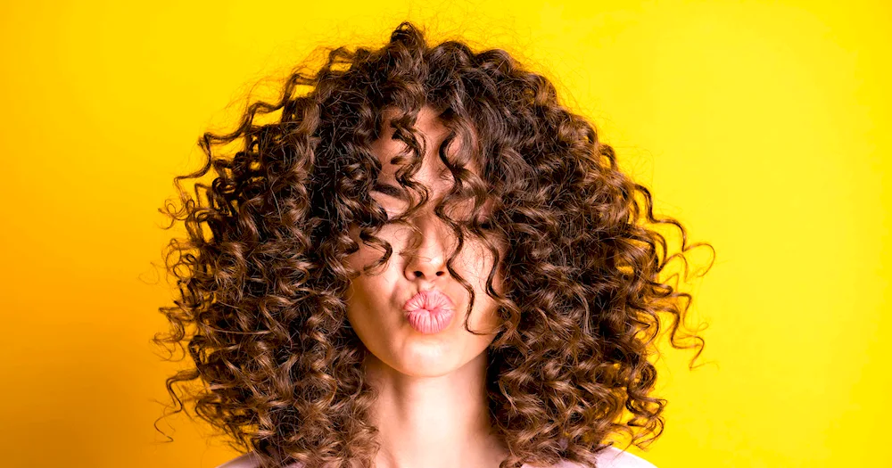 Brown 4570 flat iron