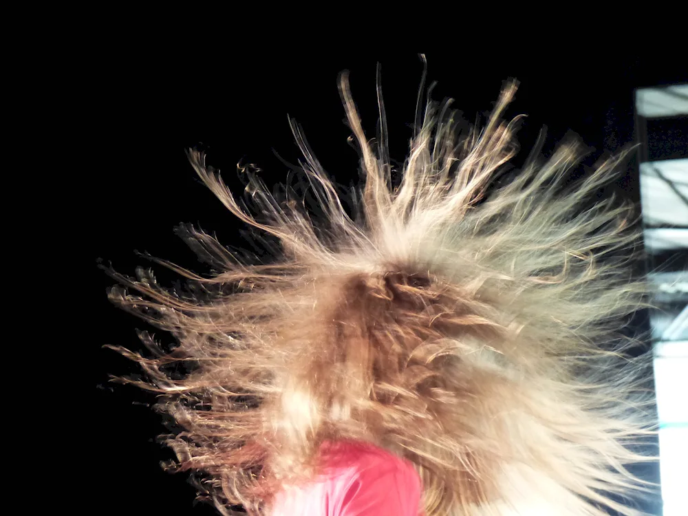 Busted hair