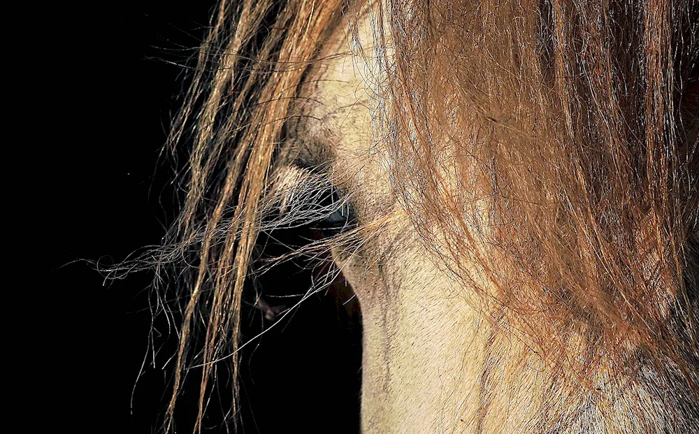 Gorgeous hair
