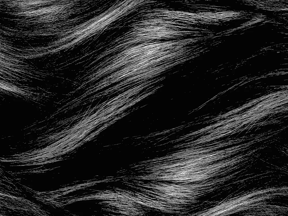 Hair on black background