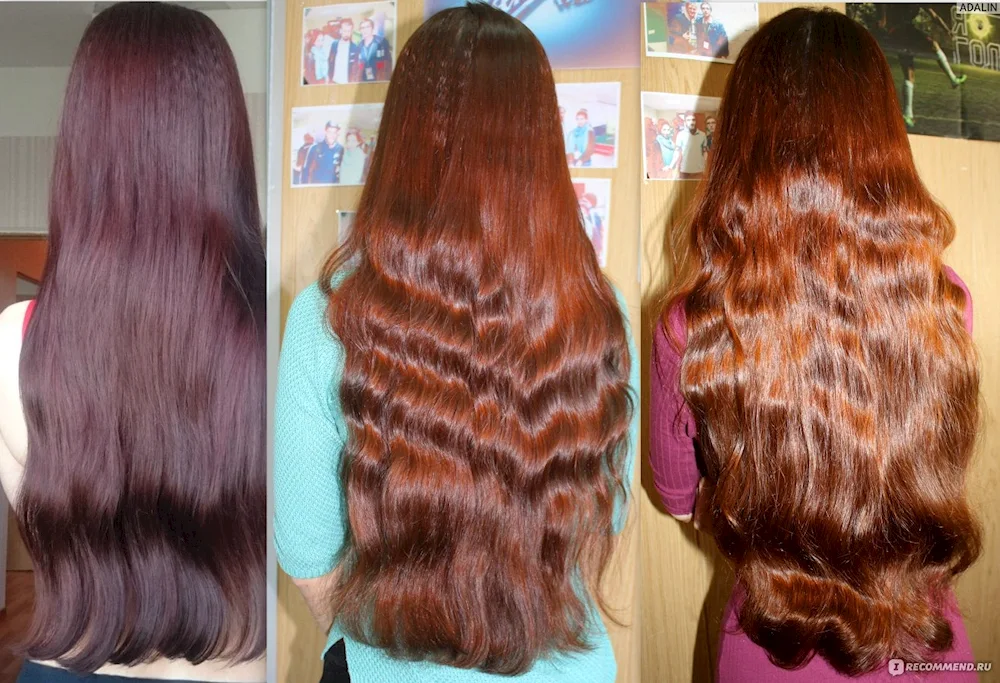 Hair after henna