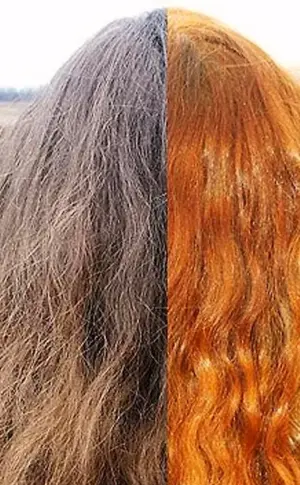 Hair after henna