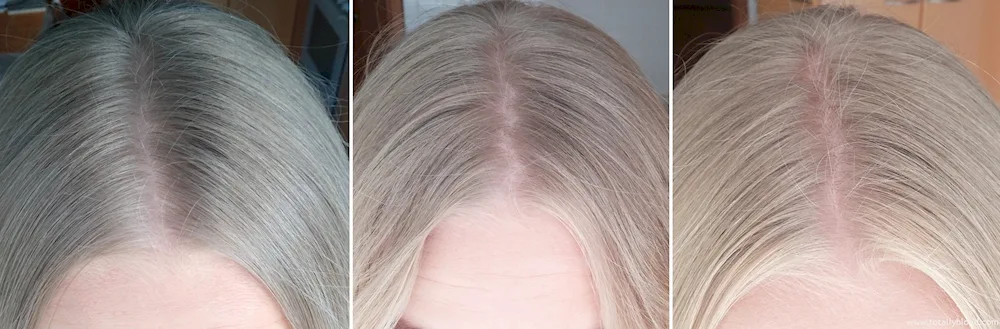 Hair after bleaching with peroxide