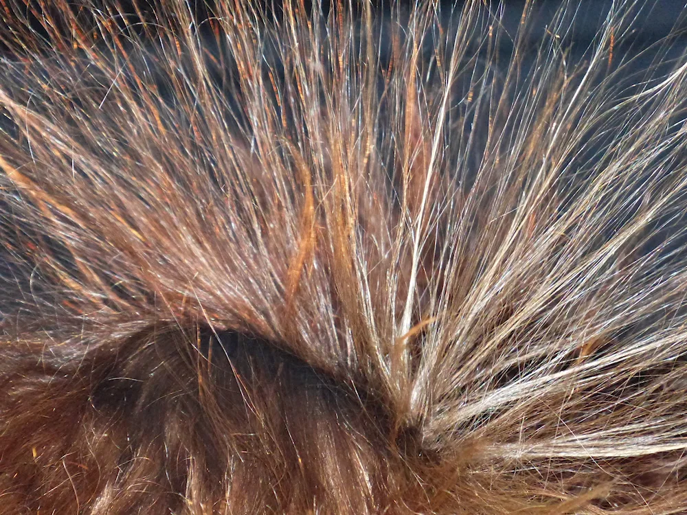 Hair wool