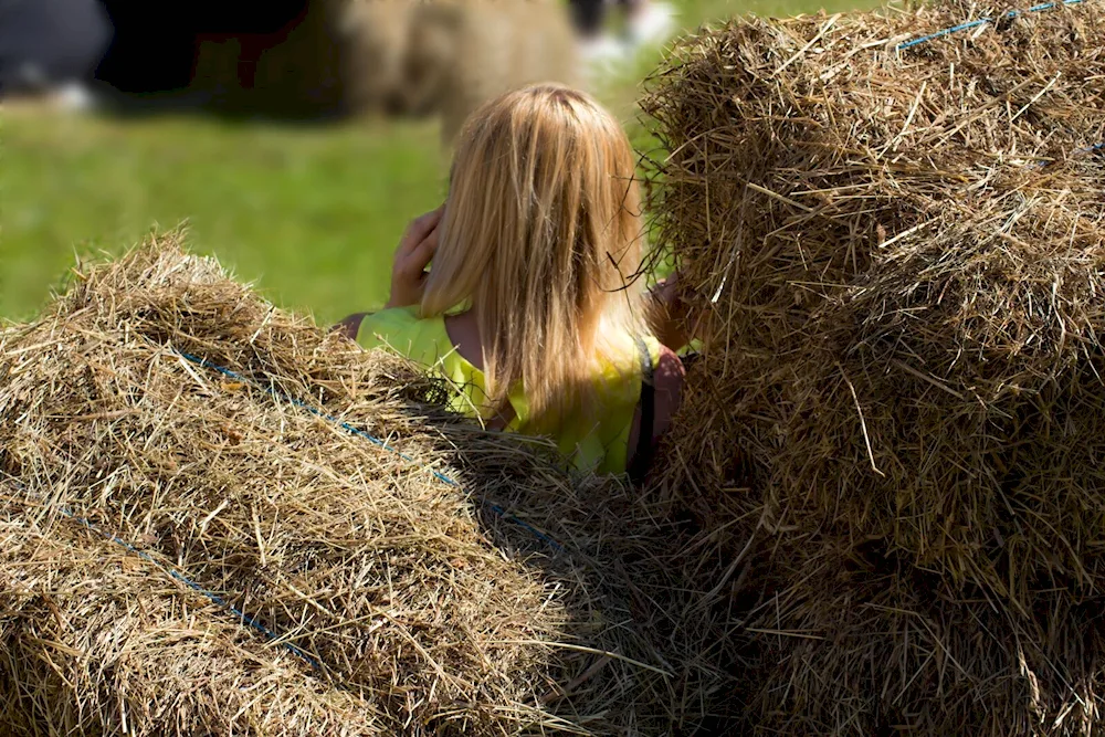 Straw hair
