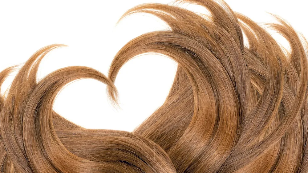 Heart of Hair
