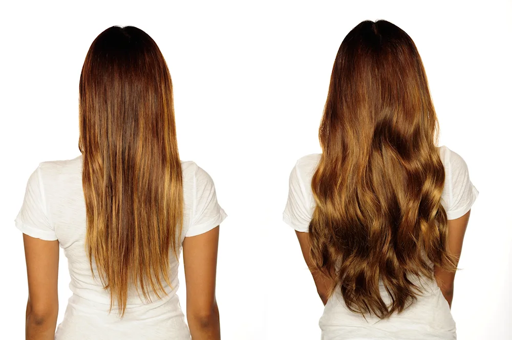 Back view hair