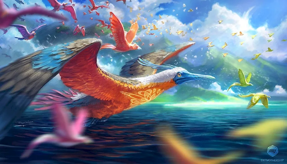 Wizard bird