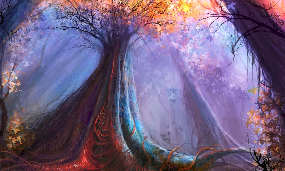 Magical forest