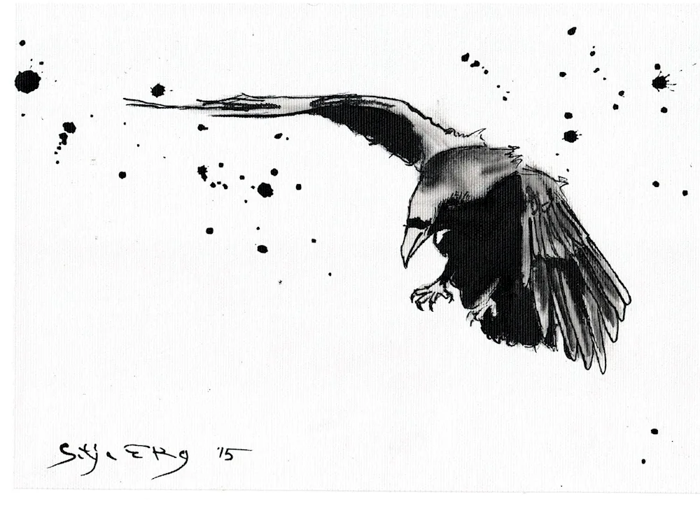 Crow tattoo sketch