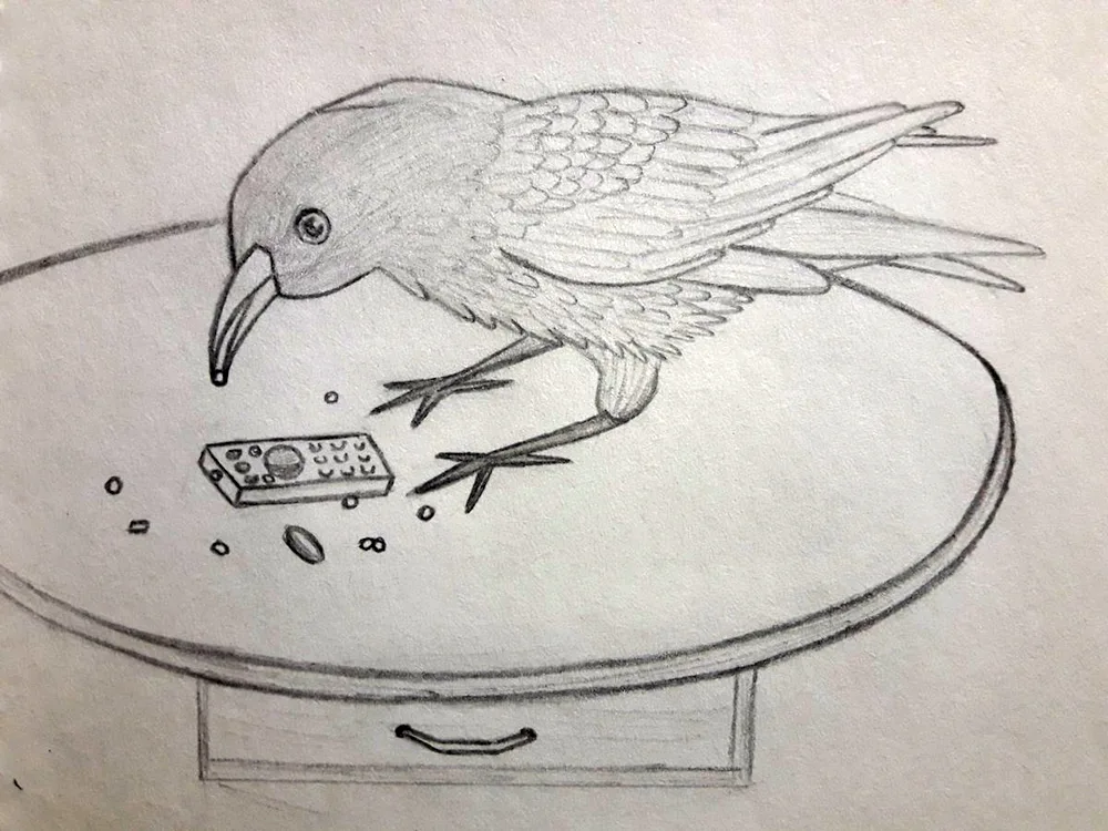 crow tattoo