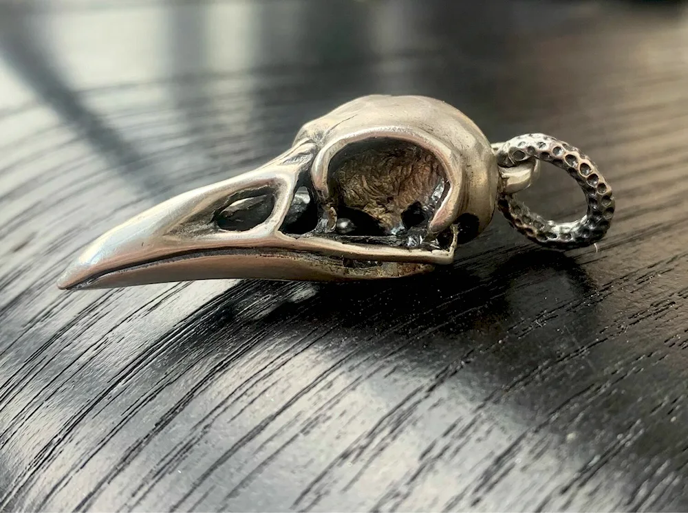 Crow skull