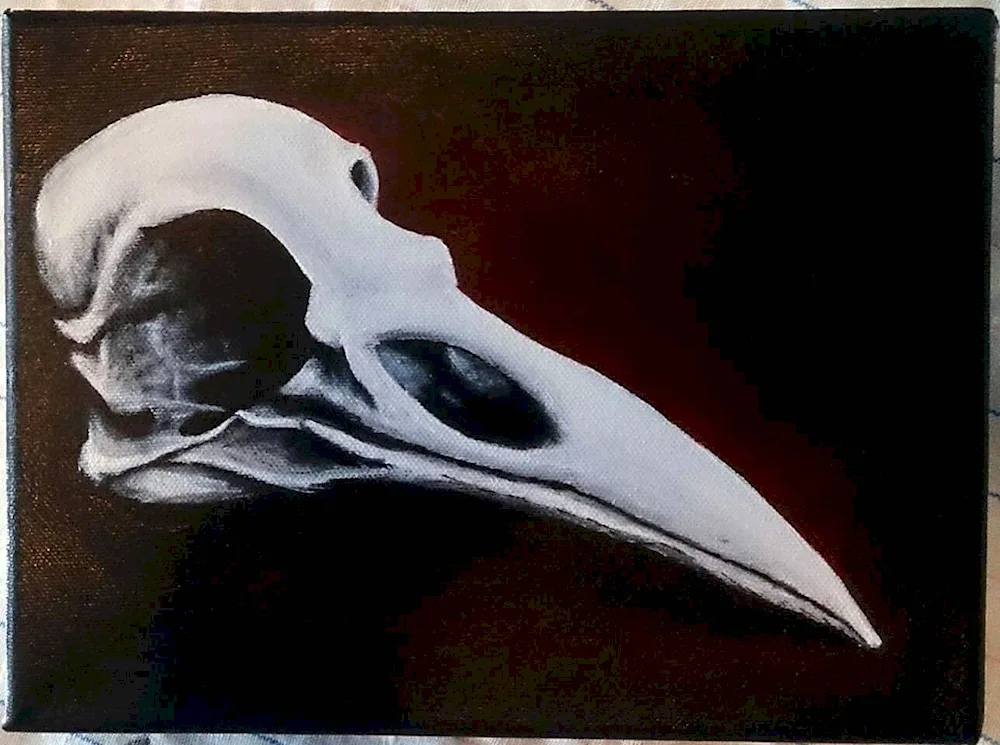 Crow skull