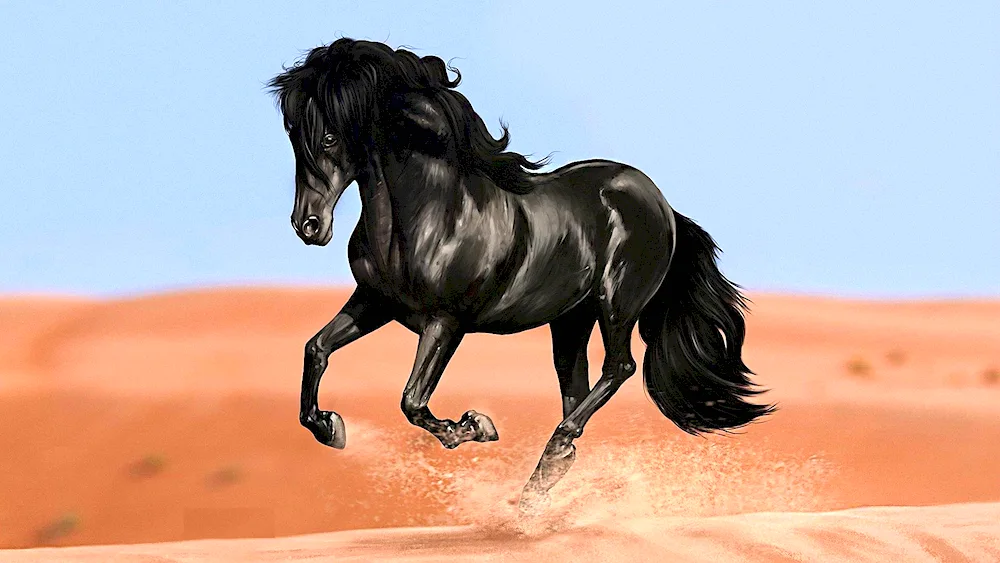 Arabian thoroughbred horse