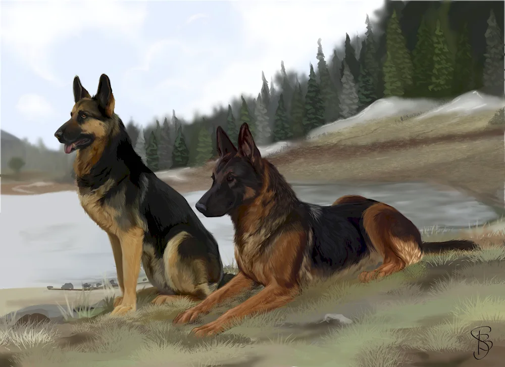 Eastern European Shepherd dog vector European shepherd dog vector