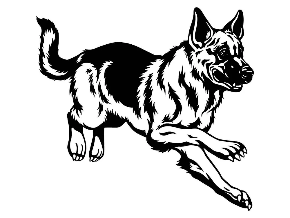 Coloured German Shepherd dog