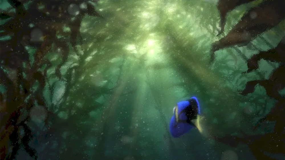 Finding dory fish Dory 2016