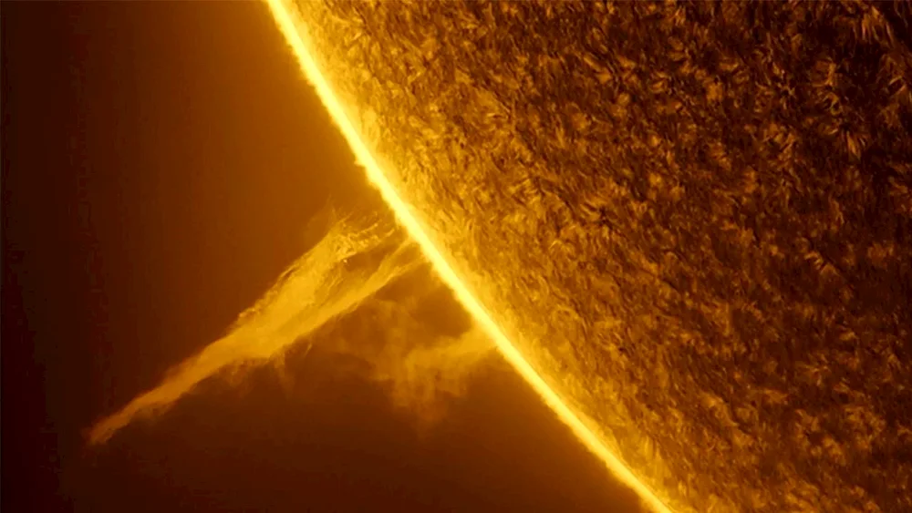 Sunbursts