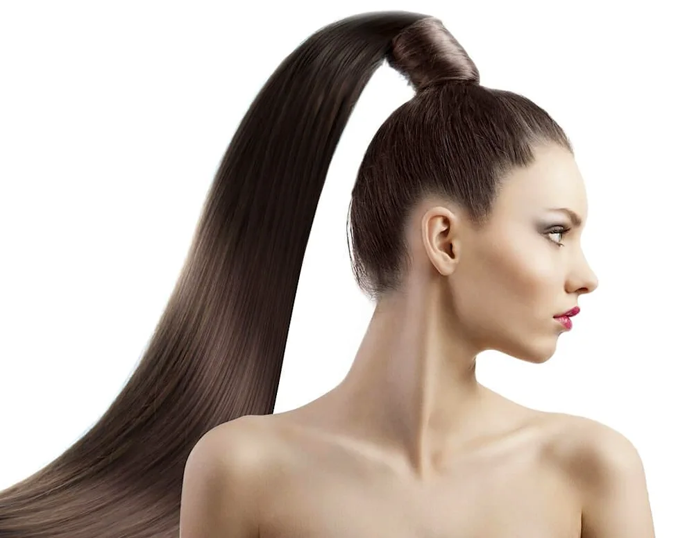 High Ponytail
