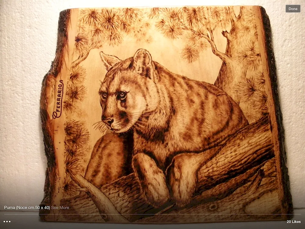 Woodburning