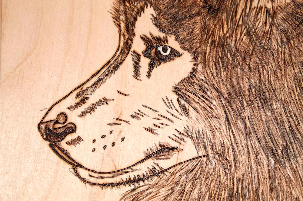 Woodburning