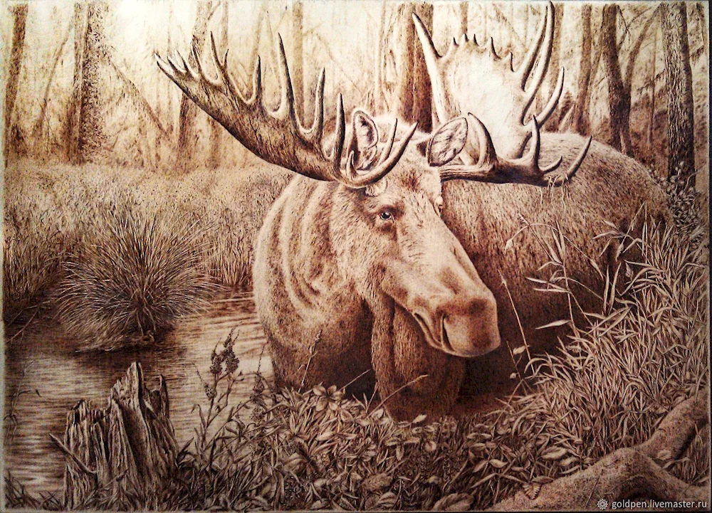 Woodburning pictures