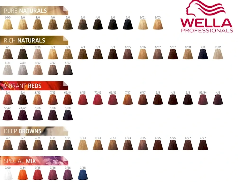 Barex hair dye palette