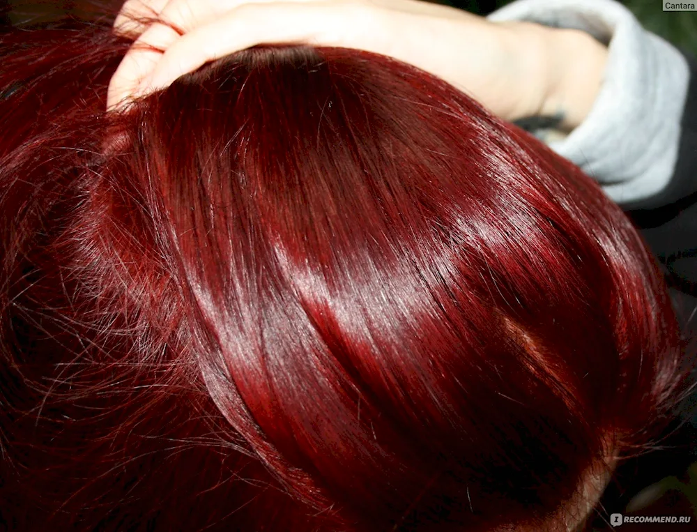 Wellaton 6646 red cherry