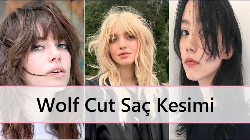 Wolf Cut
