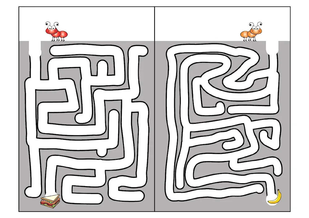 Maze Maze Worksheet