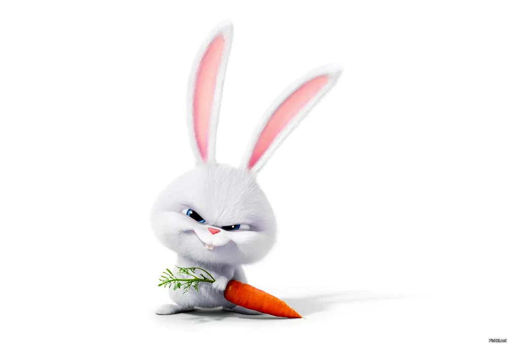 The Secret Life of Pets rabbit from the cartoon The Secret Life of Pets rabbit evil