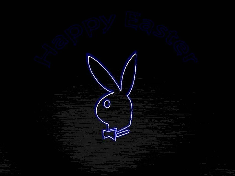 Bunny on black background