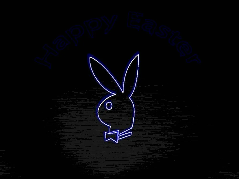Bunny on black background