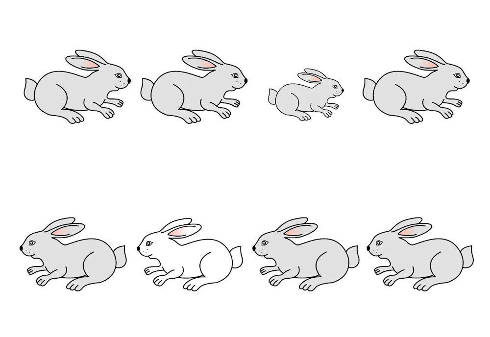 Bunny drawing for drawing