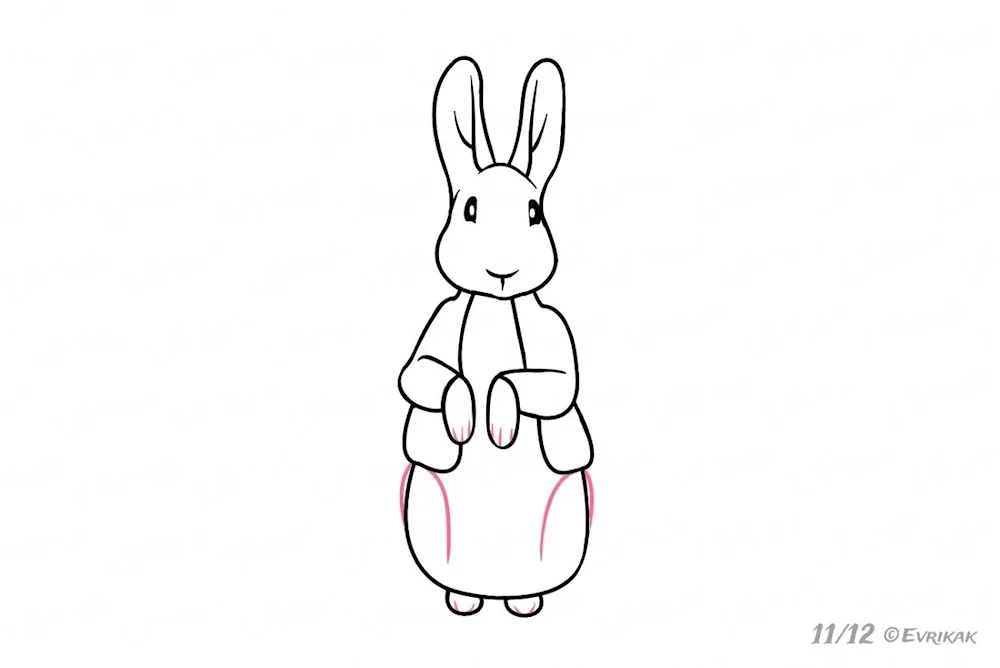 Bunny drawing for front and side