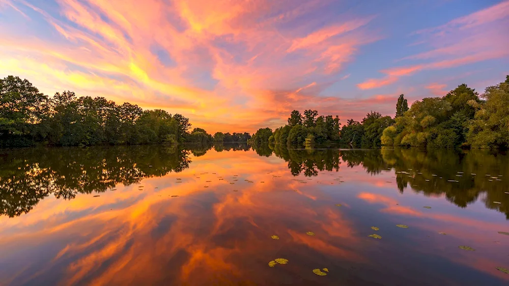 Sunset on the lake Seliger lilies