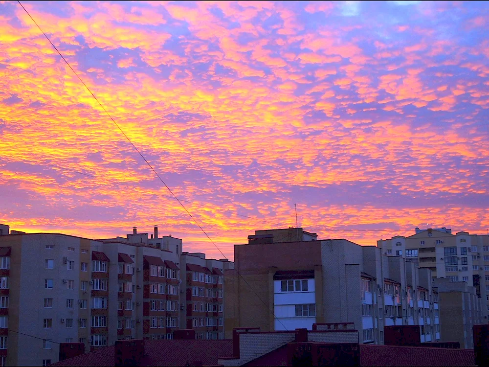 Sunset over the city