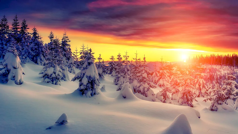 Winter sunset