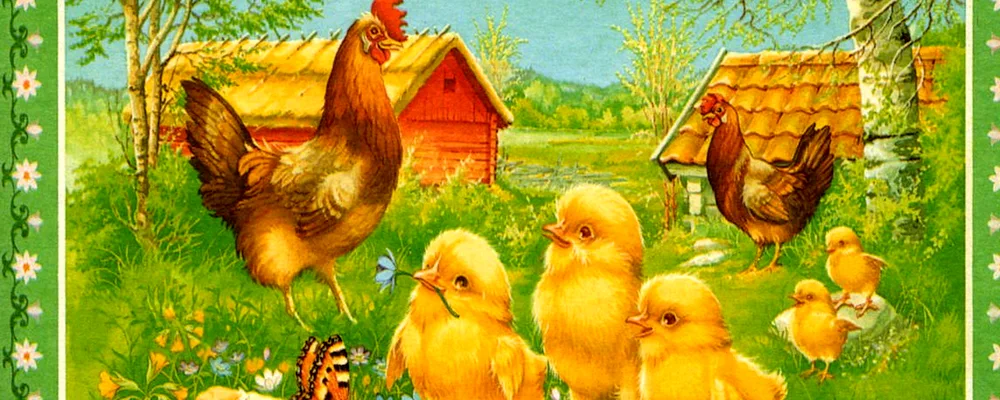 Chickens and Chickens Bondarenko