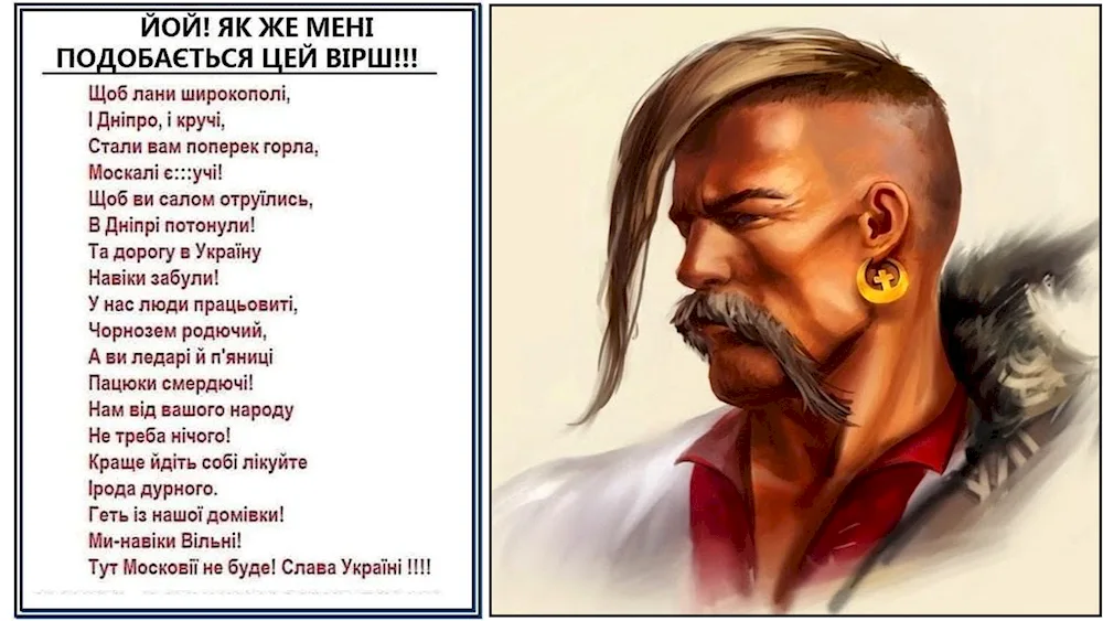 Chub Cossack Oseledets