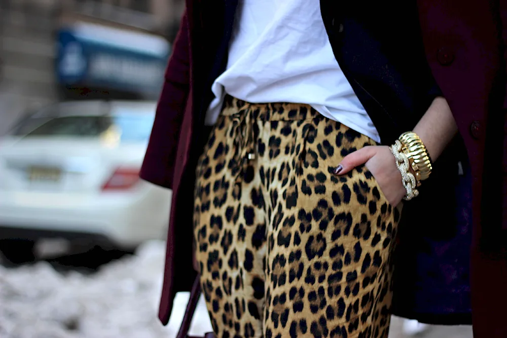 Zara leopard