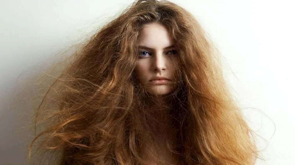 Porous hair