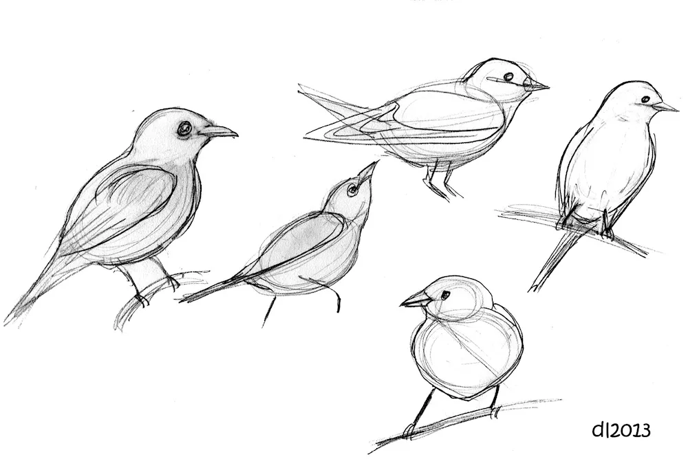 Eagle drawing