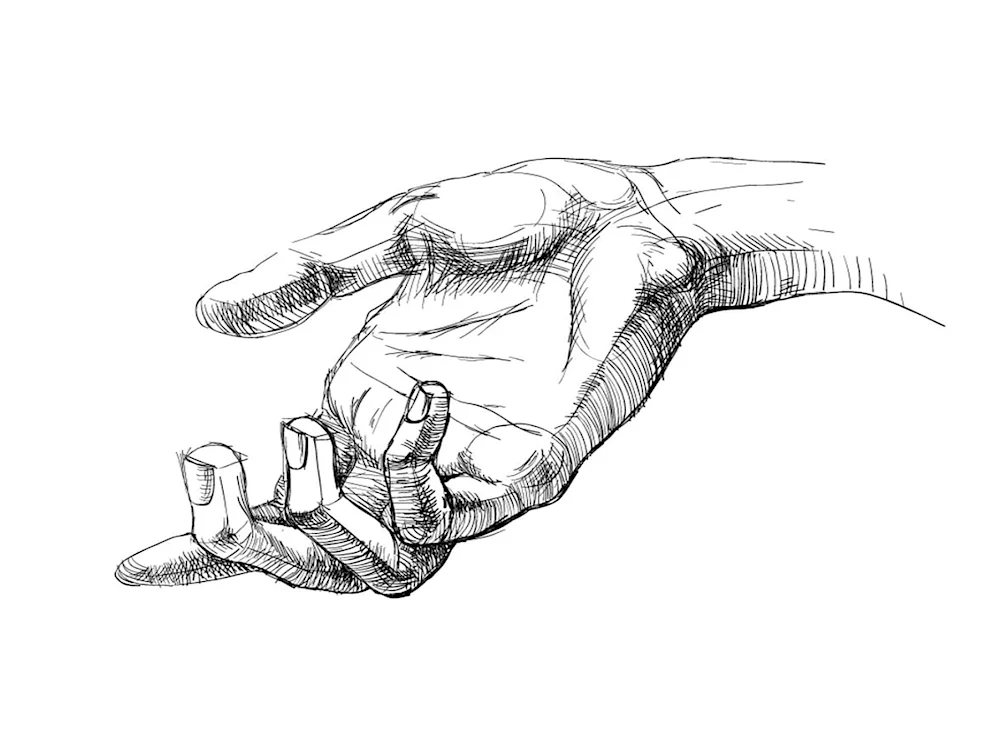 Palm drawing