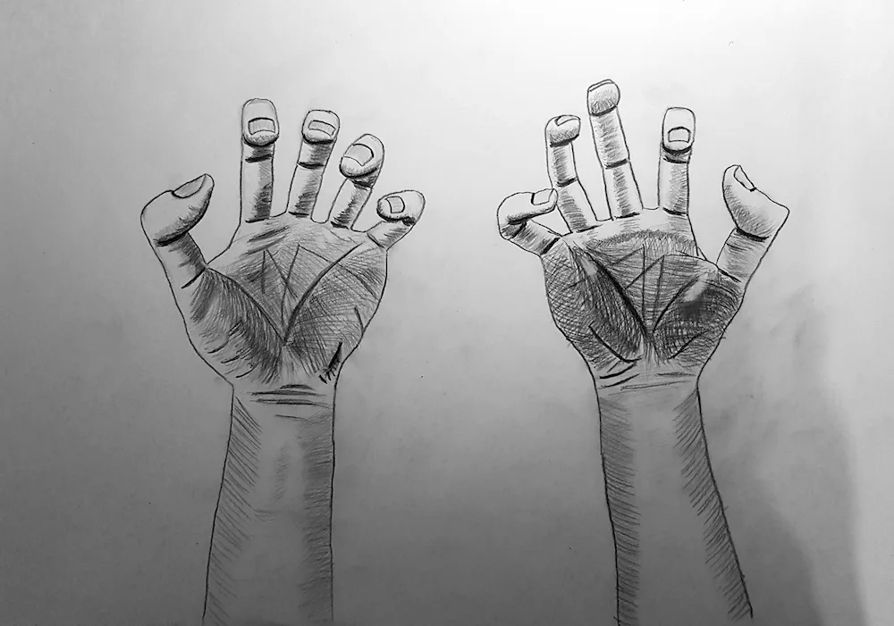 Drawings of hands