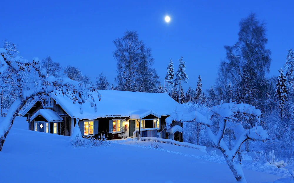 Village in snow