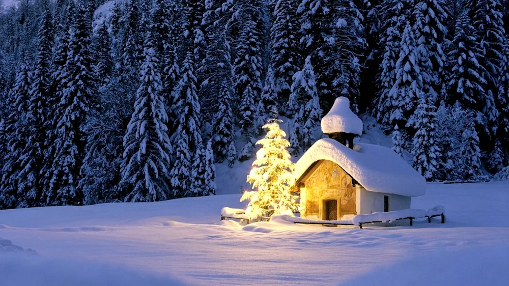 Winter cabin