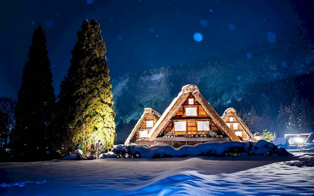 Winter house